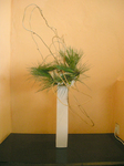 091224_1.jpg