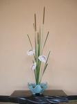 091224_3.jpg