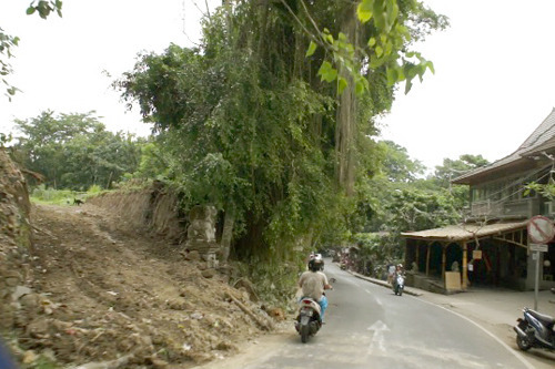 ubud20150625.jpg